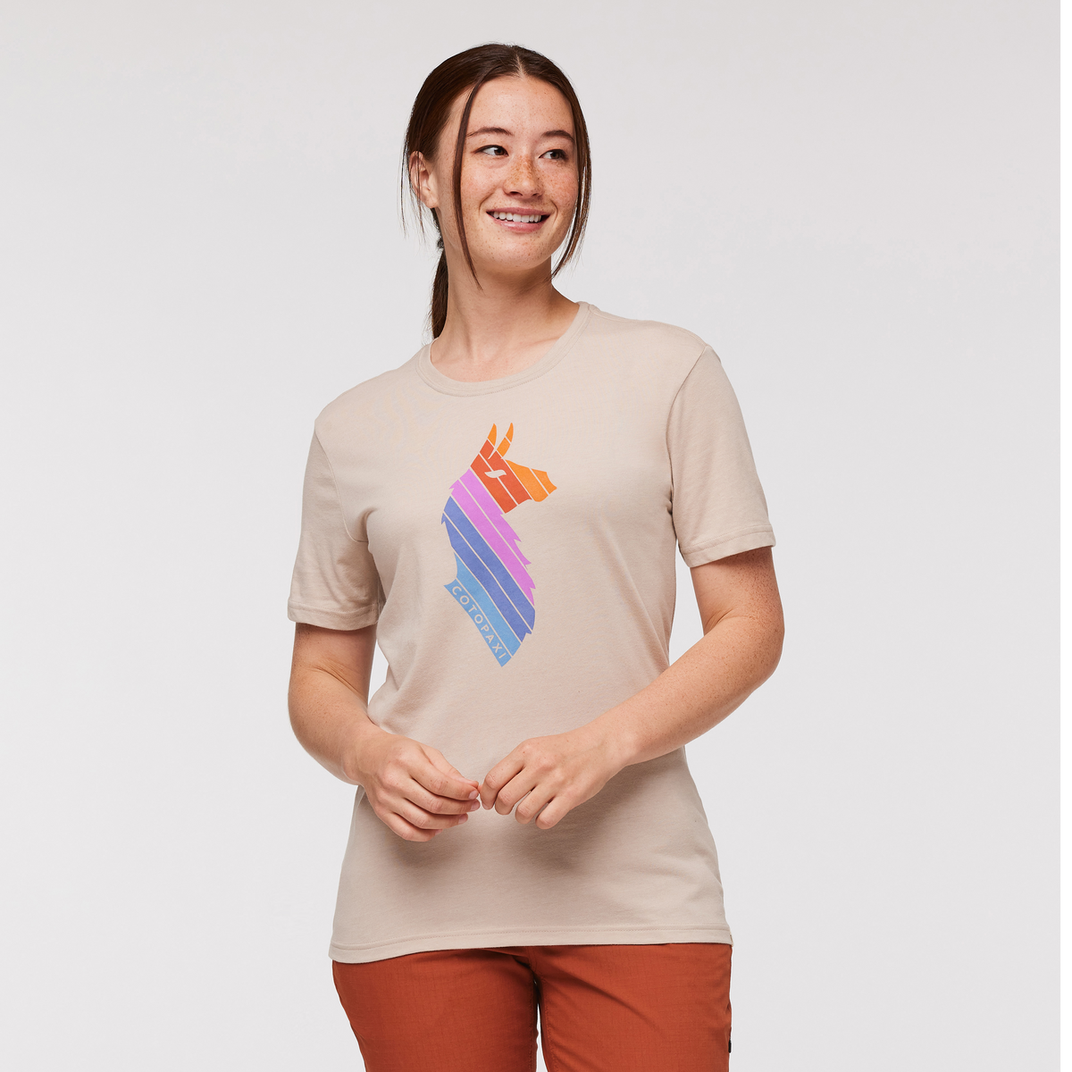 Llama Stripes T-Shirt - Women's - Image 6