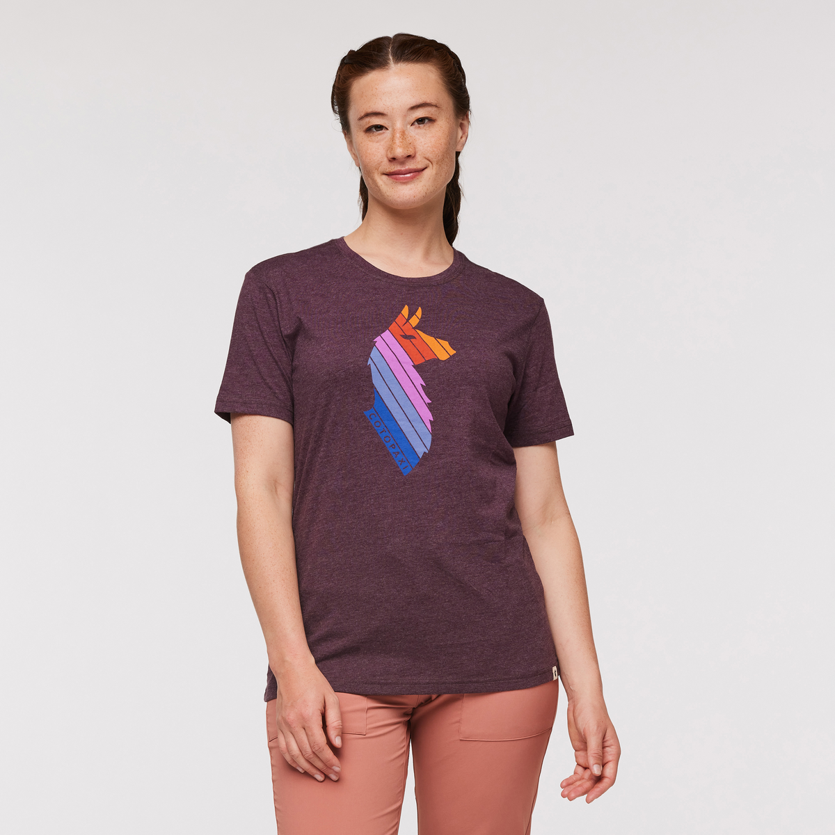 Llama Stripes T-Shirt - Women's - Image 11