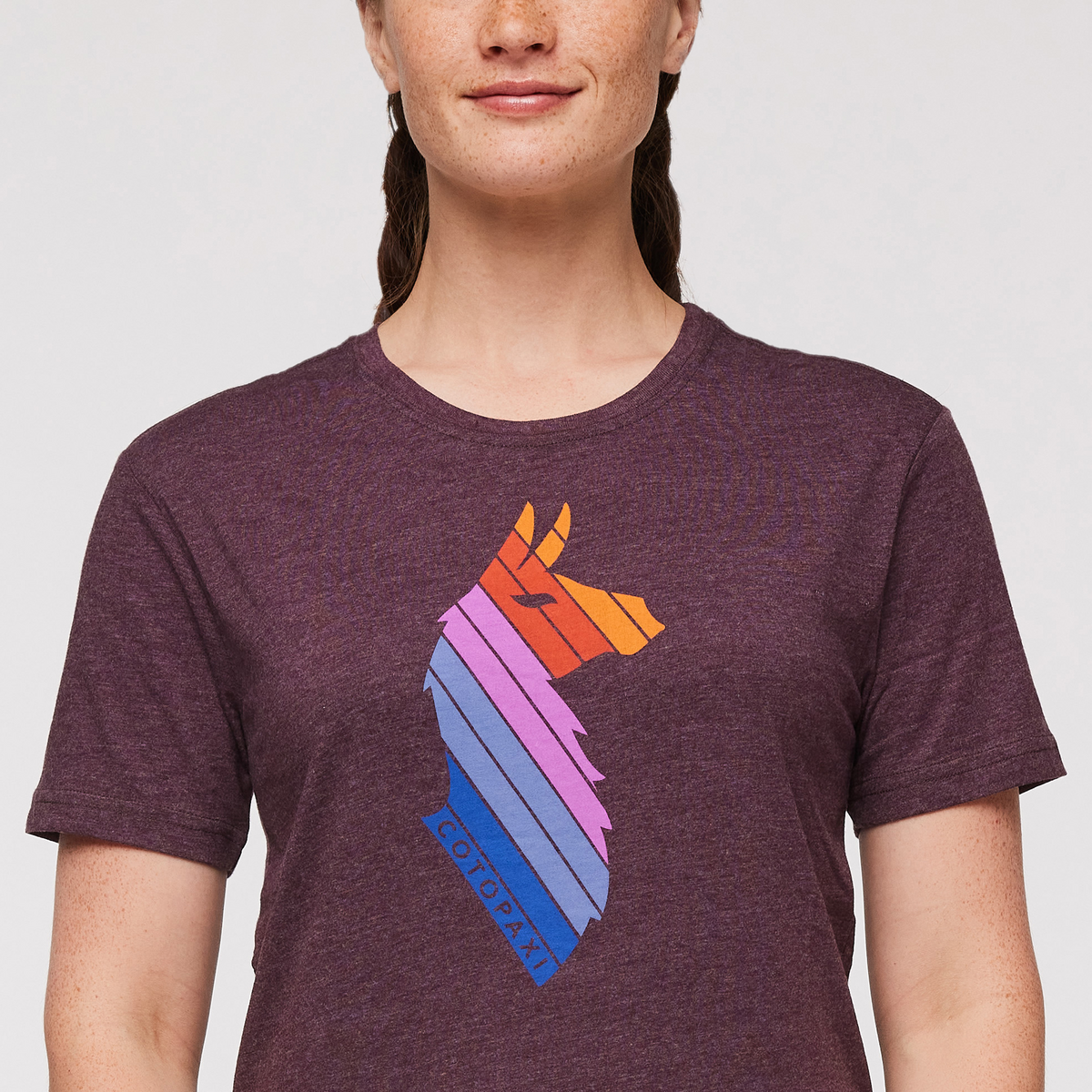 Llama Stripes T-Shirt - Women's - Image 15