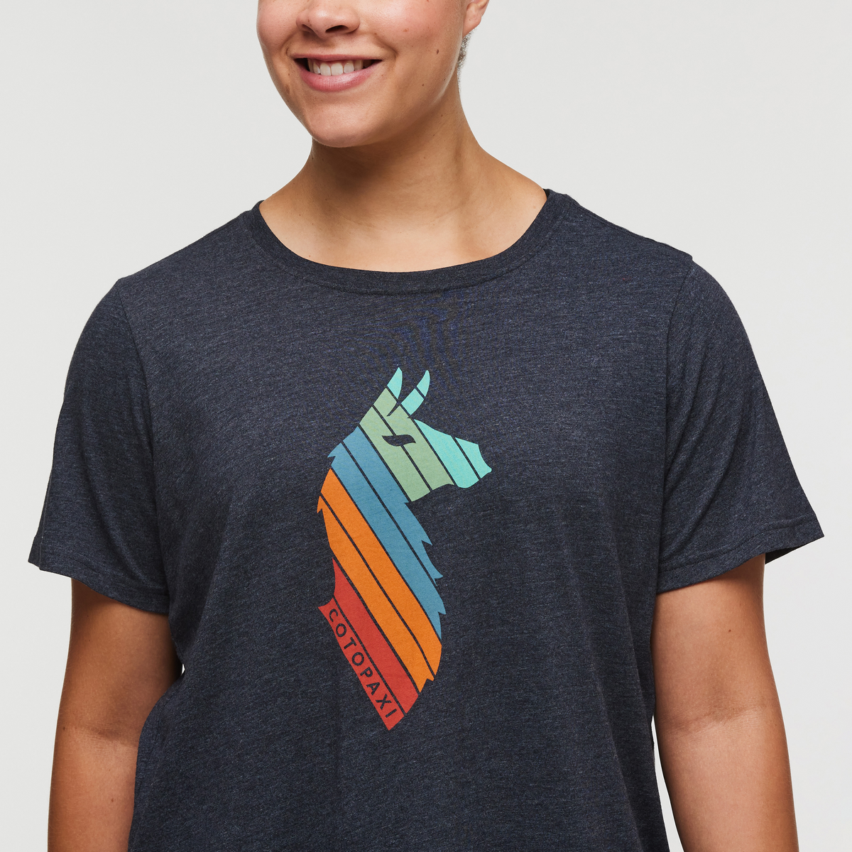 Llama Stripes T-Shirt - Women's - Image 5